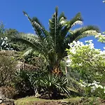 Residenza La Pianca アパート *