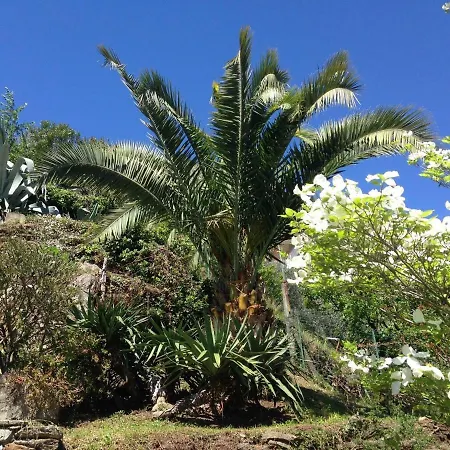 Residenza La Pianca Διαμέρισμα *