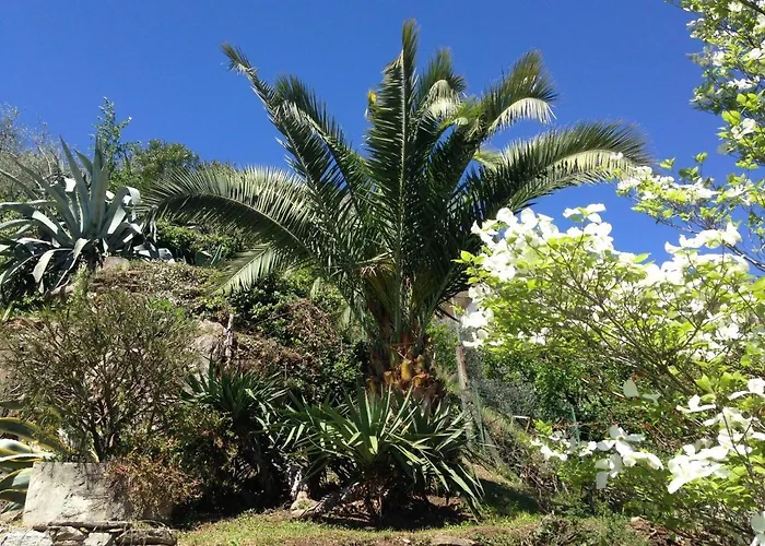 Residenza La Pianca דירה *